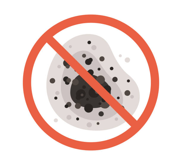 Best Dehumidification Services  in San Bernardino, CA